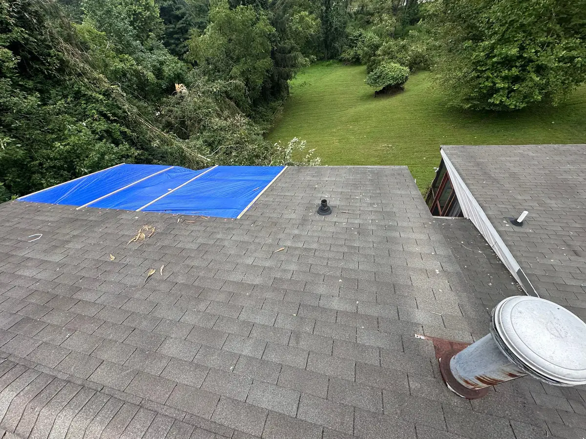 Blue tarp strips battened over the rear section of a gray shingle roof, a vent stack in front and woods behind