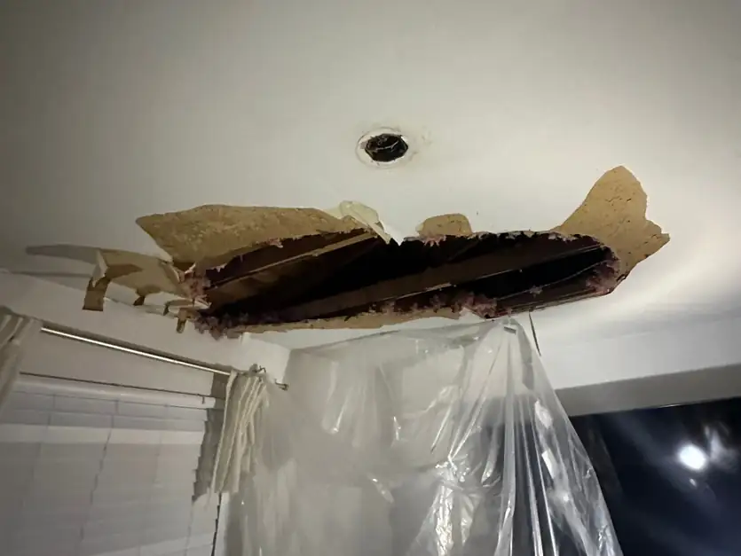 Damaged ceiling opening above a window, with exposed timber and clear protective sheeting hanging below