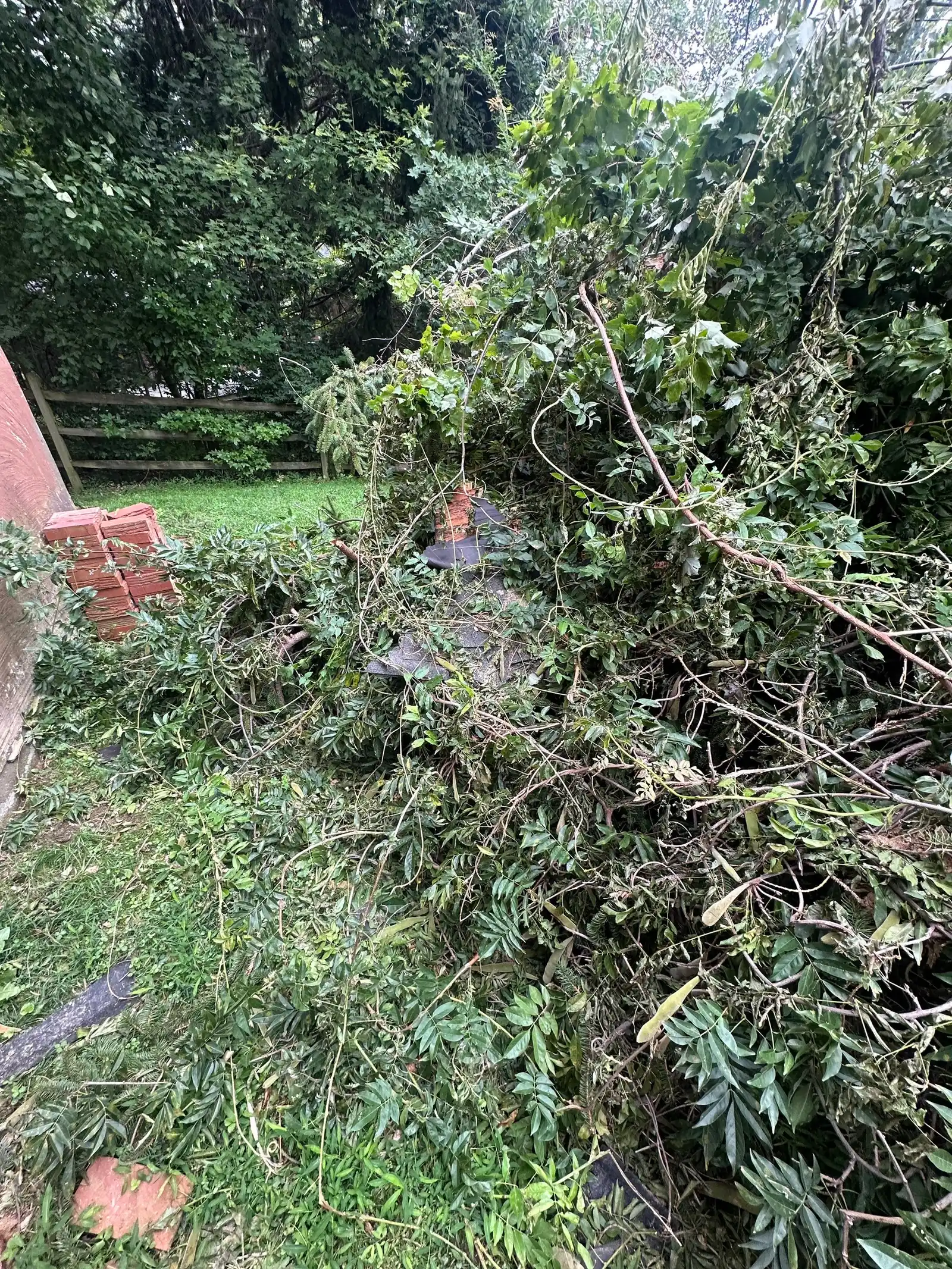 Fallen leafy limbs and broken timber scattered beside a fence at the Columbia storm-damage job