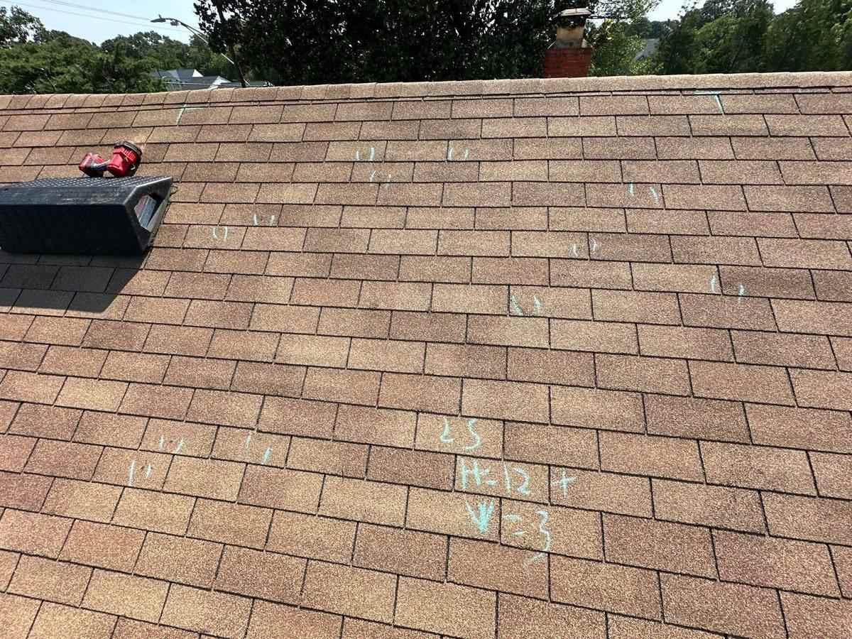 An asphalt shingle roof slope with individual hail hits circled in chalk and a test square marked out with chalked measurements during an inspection