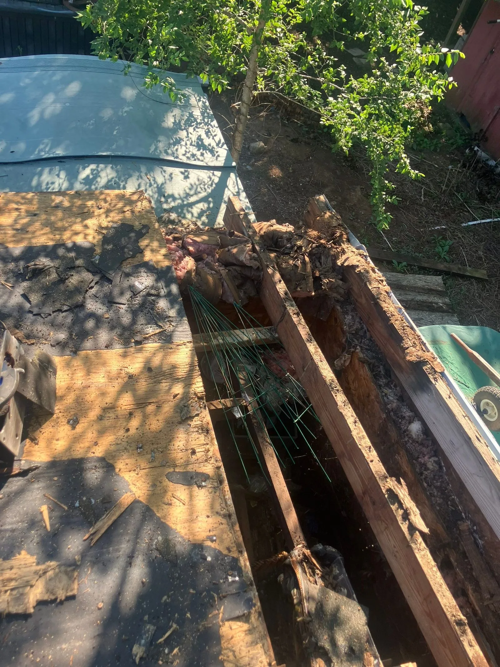 Decking cut back along a low-slope roof edge to expose two rotted rafters, with sodden fibreglass insulation in the cavity